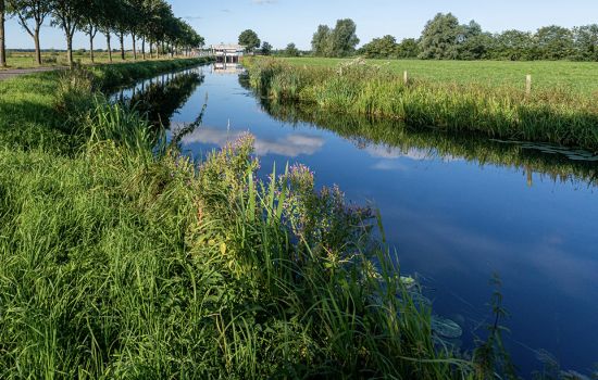 Samenvatting beschikbaar Groeidocument Handelingsperspectief
